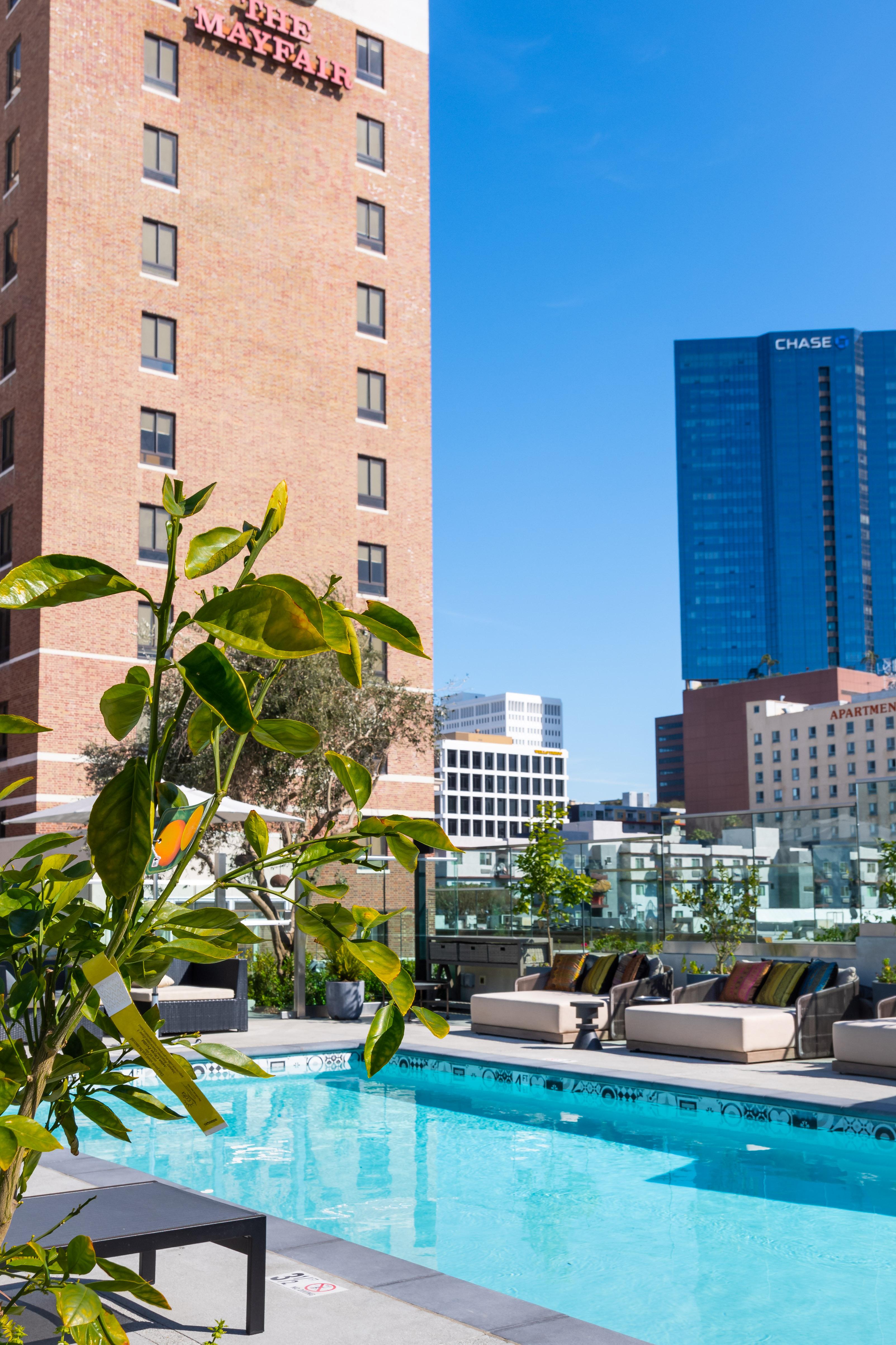 The Mayfair Angeles Hotel Los Angeles
